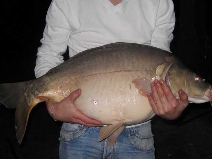 carpe 12,5 kilos.jpg